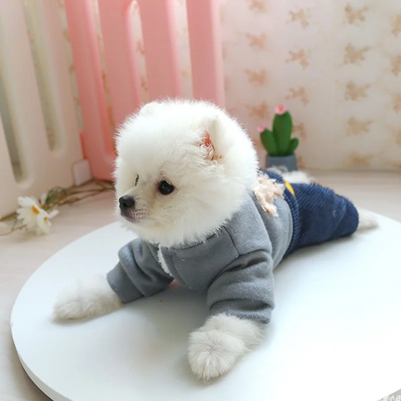 1PC pet clothes cat winter thickening powder blusher flower bear cotton padded jacket suitable for small and medium-sized dogs