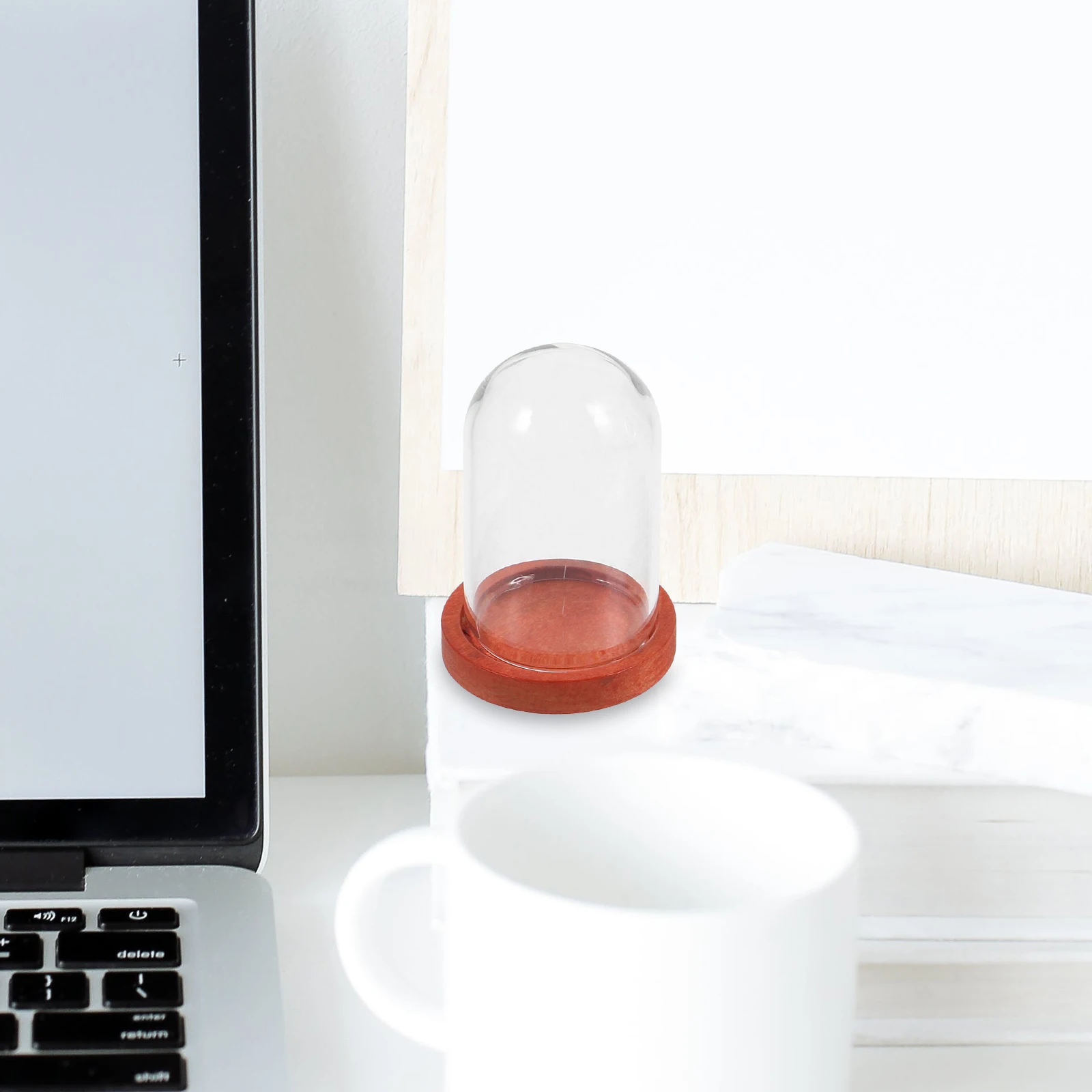 

10Sets Mini Glass Dome Display Case Preserved Flower Glass Cloche Clear Micro Landscape Tray Wood Base Small Display Case