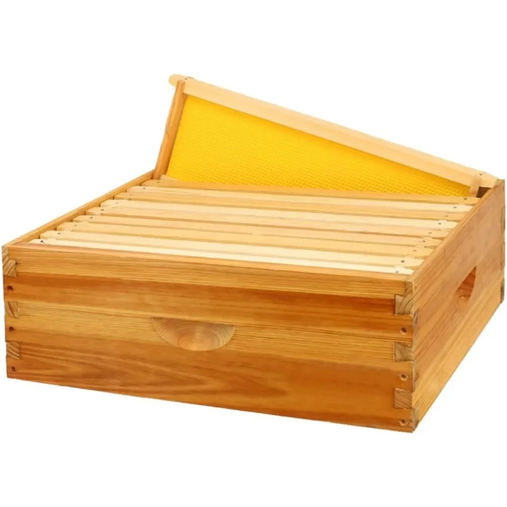 Bee Hive Box, Langstroth Medium Super Bee Box Dipped in 100% Beeswax Include Beehive Frames and Waxed Foundation