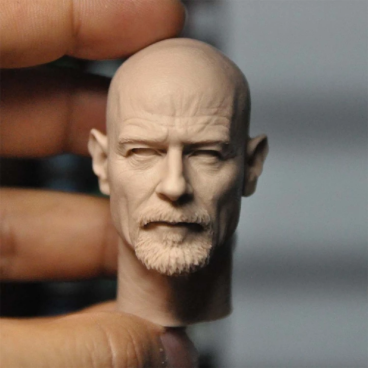 1/6 Die Cast Resin Model Assembly Kit Head Sculpted (55mm) Unpainted Free Shipping