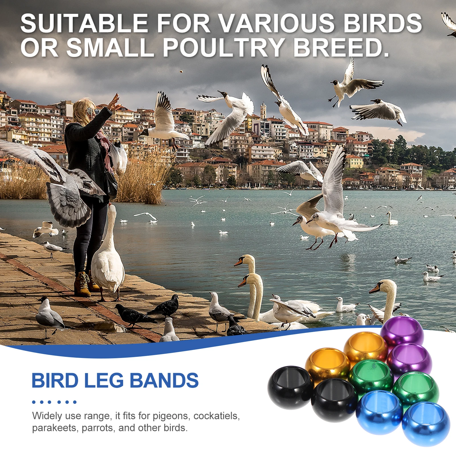 

Pigeon Aluminum Ring Bird Pigeons Leg Rings Chicken for Catcher Hook Accessory