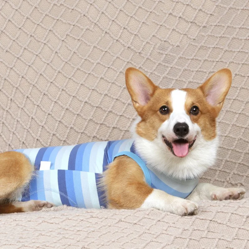 Pet Dogs Maintain Clothes Operation Recovery Suit Anti Licking Wounds After Surgery Surgery Suit Four-legged Jumpsuit Dogs Vests