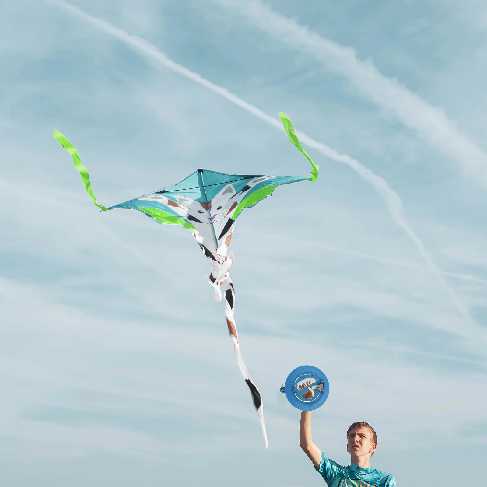 ABS As Kite Winder Tool Duurzaam Outdoor Handwiel met Gladde Spoel Hoge Controle Grip Draagbare Kite Flying Kit Accessoires