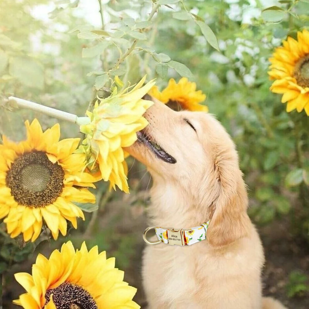 Personalisiertes Nylon-Hundehalsband mit Blumen- und Biene-Aufdruck, Welpenhalsbänder, kostenlose individuelle Haustier-ID-Halskettenhalsbänder für kleine große Hunde, Chihuahua – Detail 17