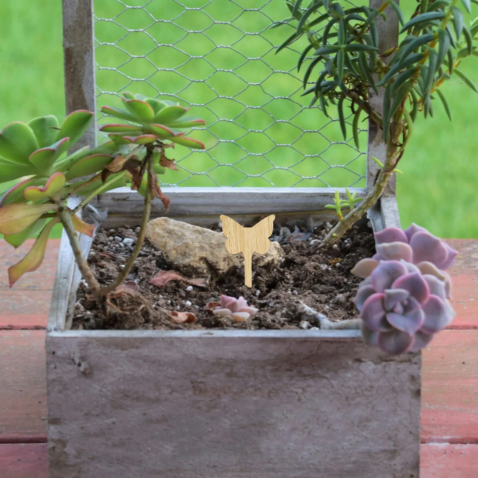 

80 шт. деревянных садовых этикеток в деревенском стиле, многоразовые подставки для растений, декоративные таблички для идентификации трав, цветов и овощей