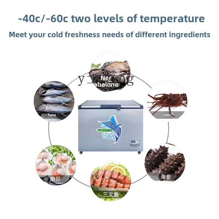 XL ultra-low temperature freezer low temperature cabinet minus 60 degrees 40 degrees commercial freezer refrigerator frozen tuna