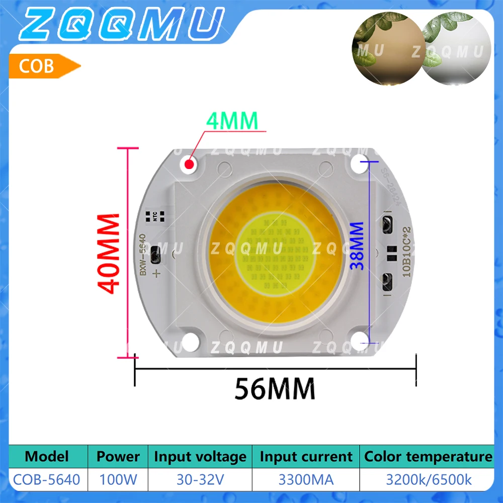 100W 200W COB 5640 LED Chip Dual Color Lamp Bulb For Gallery Studio Fill Light Cabinet Spotlight DIY Module Lighting Accessories