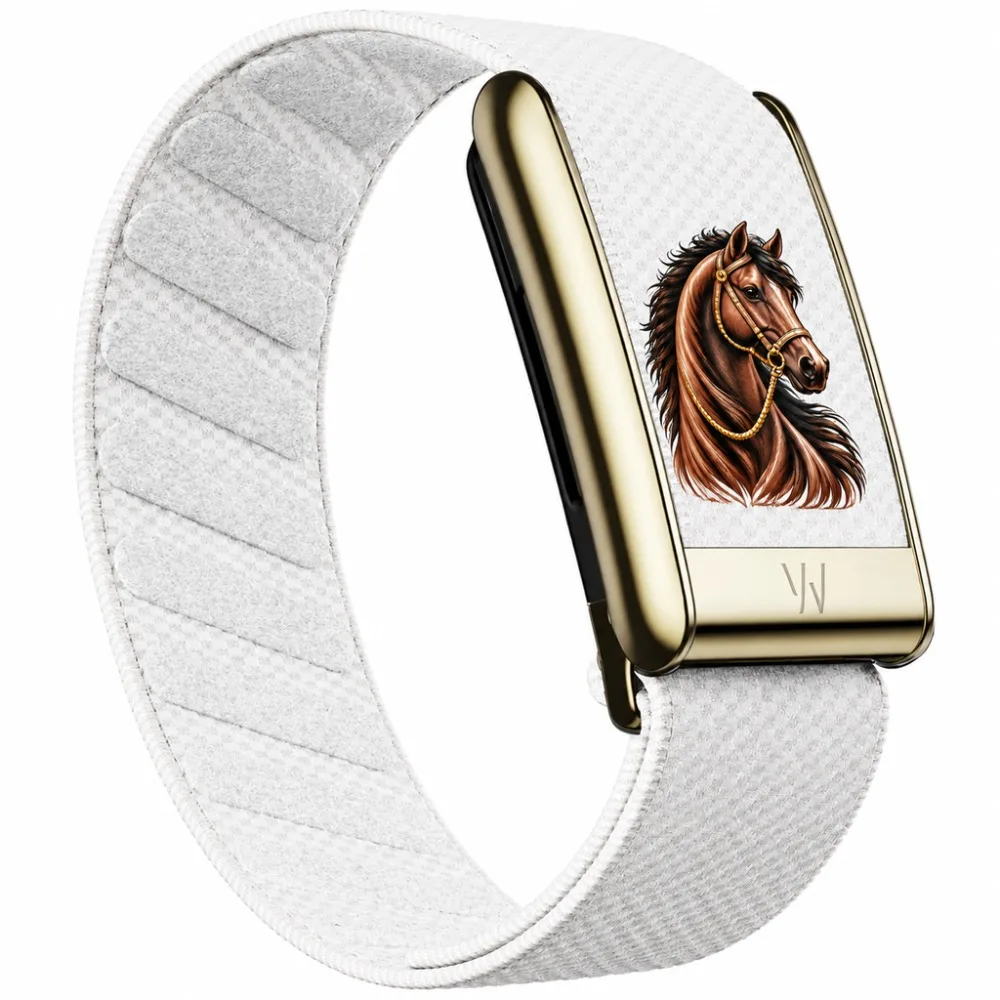 New WHOOP 5.0 MG Horse Pattern Nylon Woven Strap Sport Replacement Wristband Arabian Desert Design