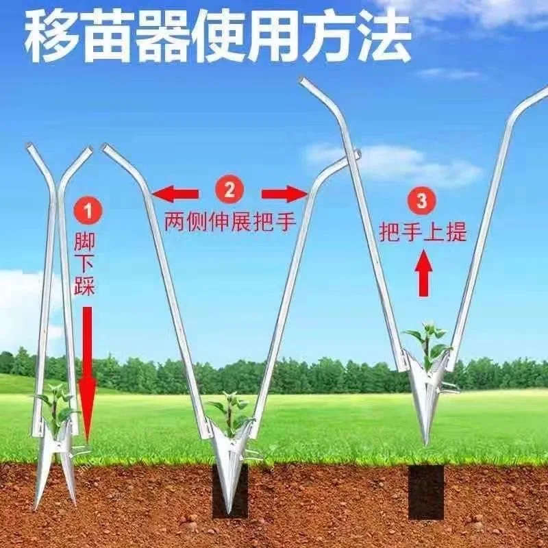 Thickened Galvanized Seedling Transplanter multi-purpose Pepper Seedling Transplanter Vegetable Agricultural Tool