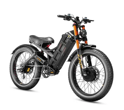 Pro 2 4000W Dual Motor Electric Bike 52V 70AH 26'' 46MPH 200 Miles