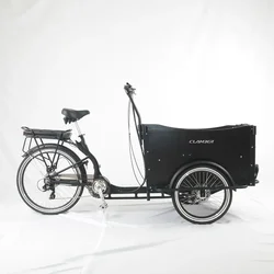 Hot Sale CE Certification3 Wheel Electric Cargo Bike/ Cargo Tricycle / Cargo Trike Front Box UB 9019E