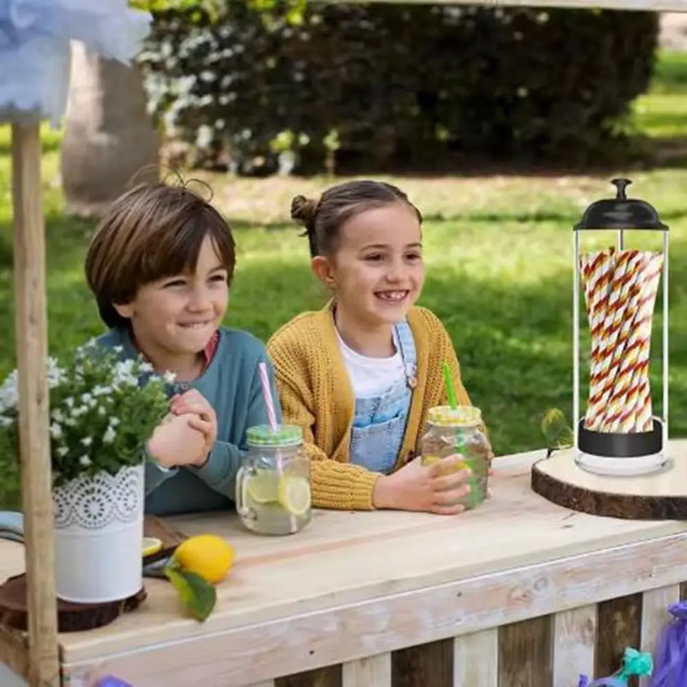 

Portable Large Capacity Drinking Straw Holder Clear with Lid Drinking Straw Organizer Plastic Drinking Straw Dispenser Kitchen