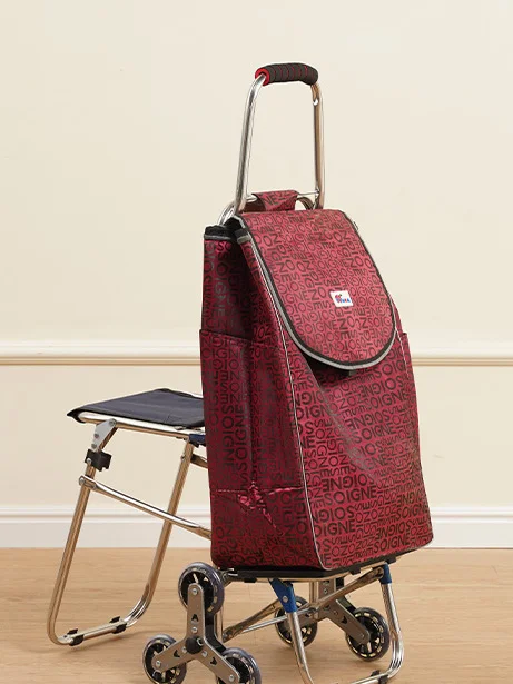 chariot-de-courses-pliable-portable-en-acier-inoxydable-pour-personnes-agees-chariot-de-courses-simple-pour-legumes-chariot-a-roulettes-pour-monter-les-escaliers-chariot-a-tirer-a-la-main