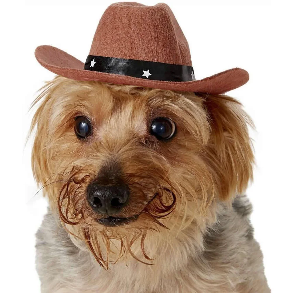 

Dog Cat Costume for Pet Photo Prop Hat Christmas Dog Hat Halloween Birthday Photo Pet Costume Prop Accessories