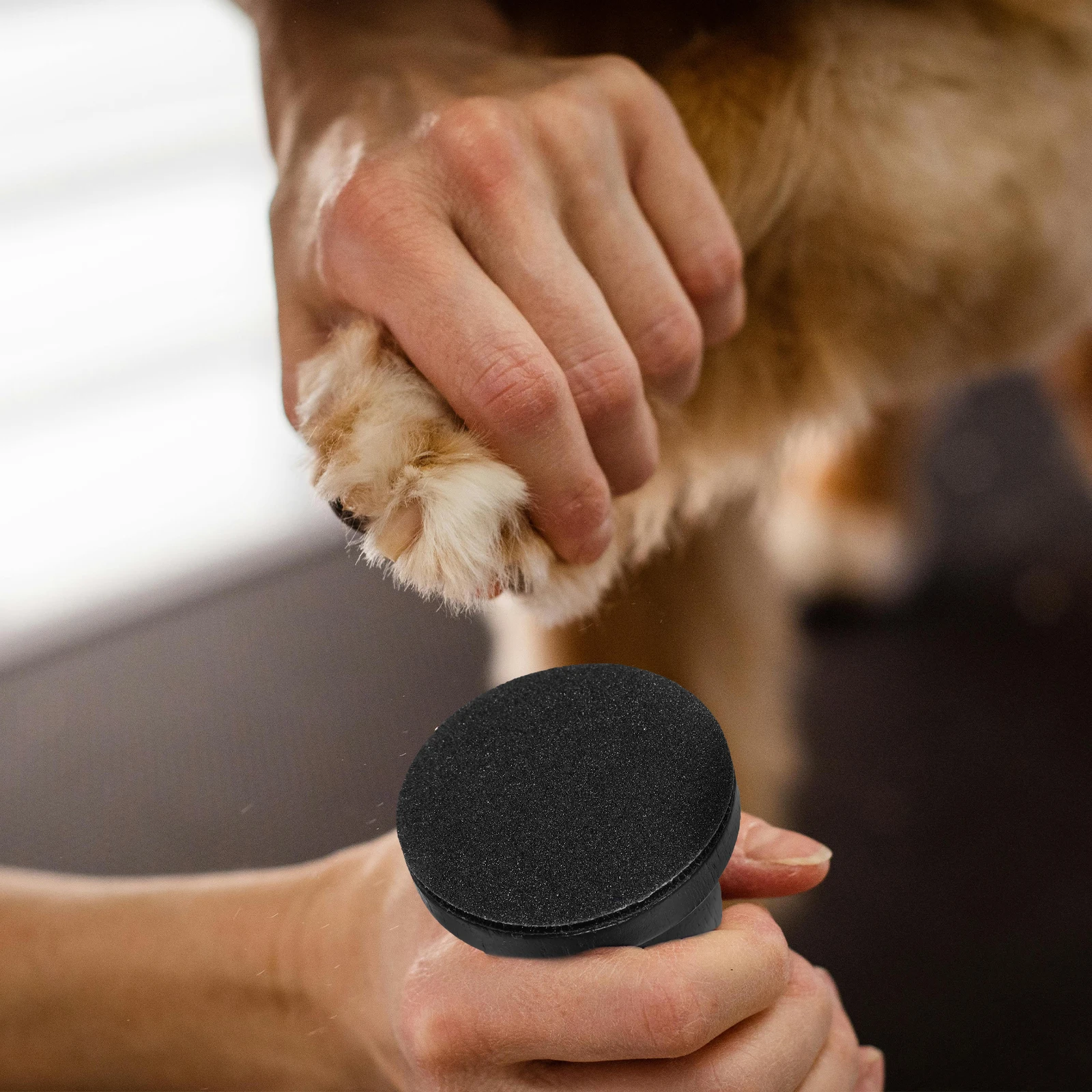 

1 set Dog Nail File Set Portable Wooden Handle Pet Grooming Grinder for Puppy Nail Trimming Tool Accessories Supply