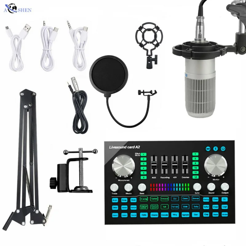 Professional Large Diaphragm Condenser Studio Microphone With Audio Interface External Livestream Broadcast Equipment