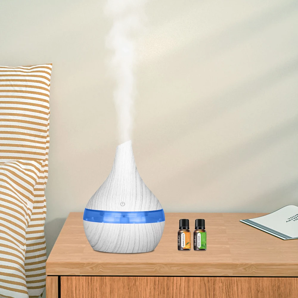 

Ultra Quiet Mini Humidifier for Travel 300ml USB Diffuser with 2 Essential Oils Auto Shut Off Perfect for Dry Air in Office Nur