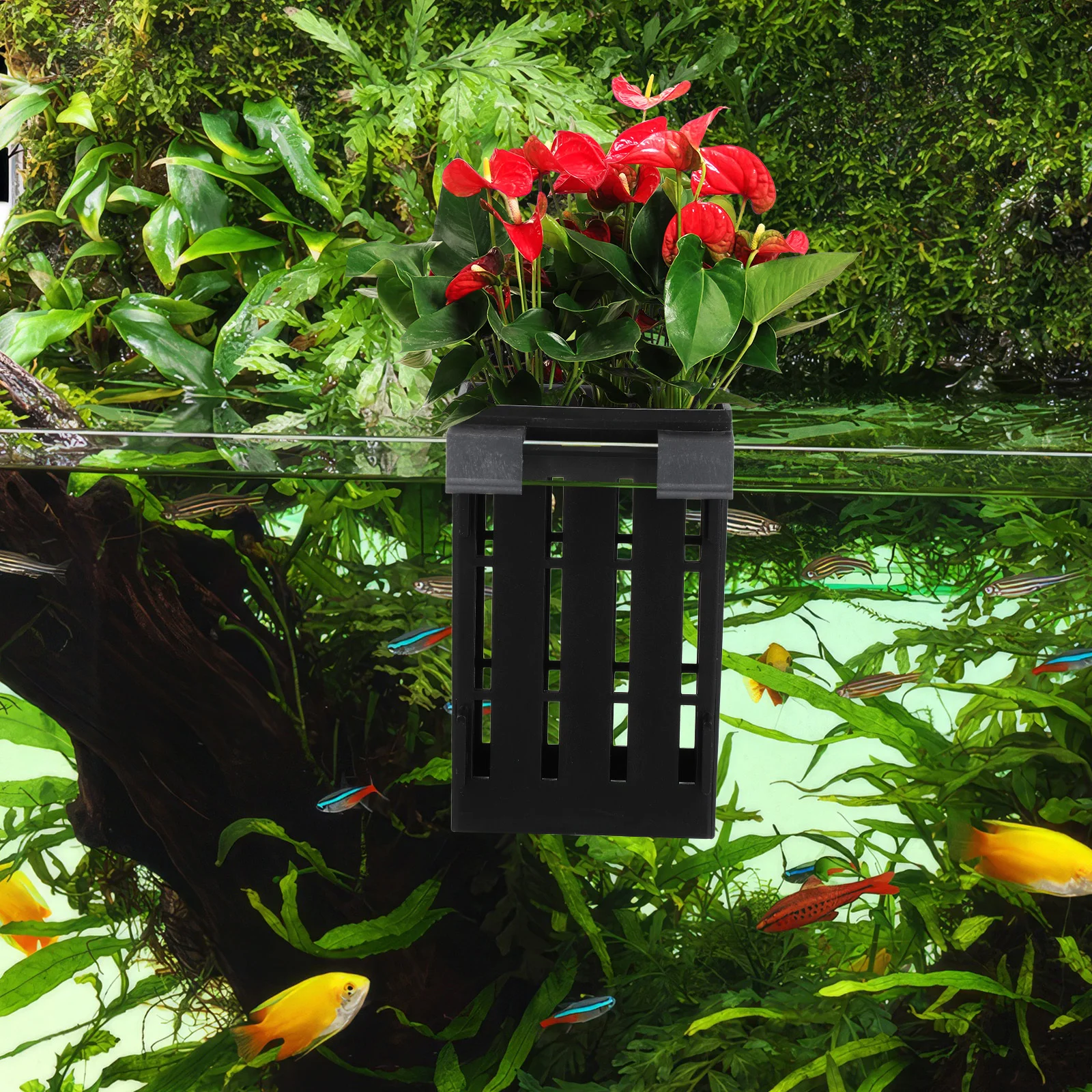 

4Pcs Hanging Aquarium Plant Pot Enhanced Water Circulation Aquatic Planter for Root Development Stable Gravel Base Fish Tank