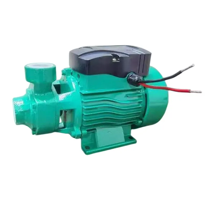 

For 12v24v Brushless Qb60 Solar Self-Priming Pump MPPT Built-in Controller Surface Pump