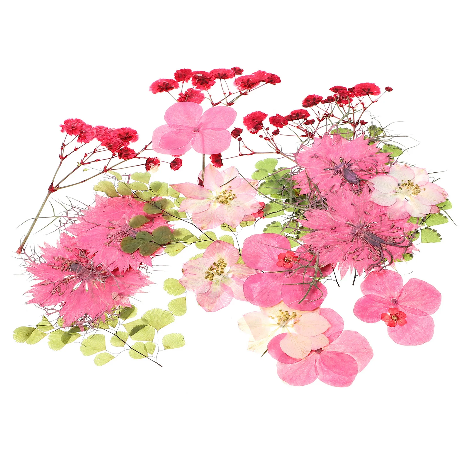 30 個ピンク押し花本物の自然色 DIY フラワークラフト材料結婚式の装飾ホームオフィスパーティー手作り花