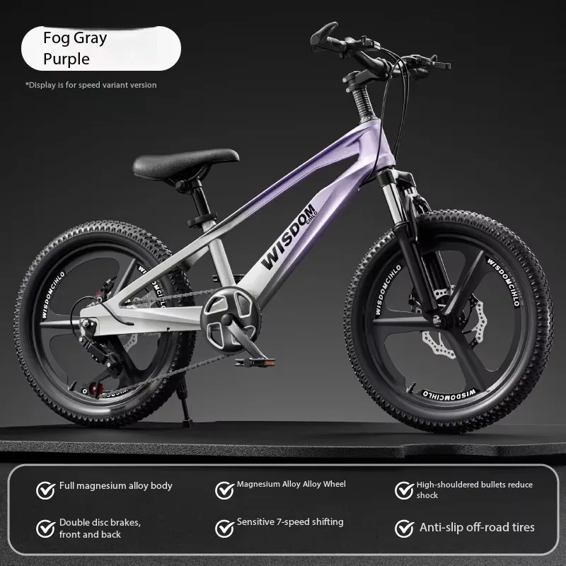 Airo High Quality Children's Utility Bicycle Training Wheels Adjustable SaddleGears Front Suspension Ordinary Hardtail Frame