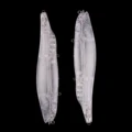 JM246-3PCS