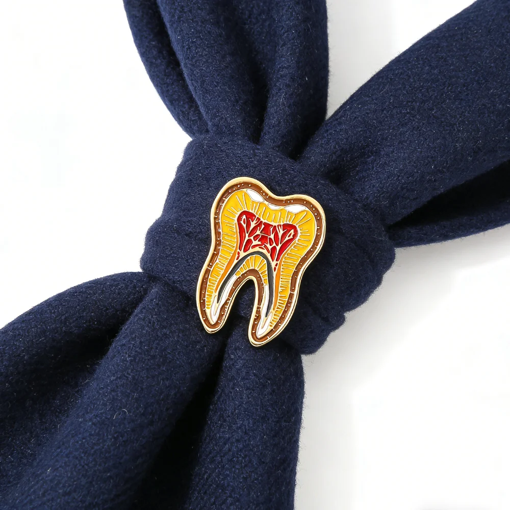 DCARZZ Colorful Enamel Tooth Anatomy Pin Medical Dental Dentist Doctor Nurse Backpack Lapel Badge Accessories Jewelry
