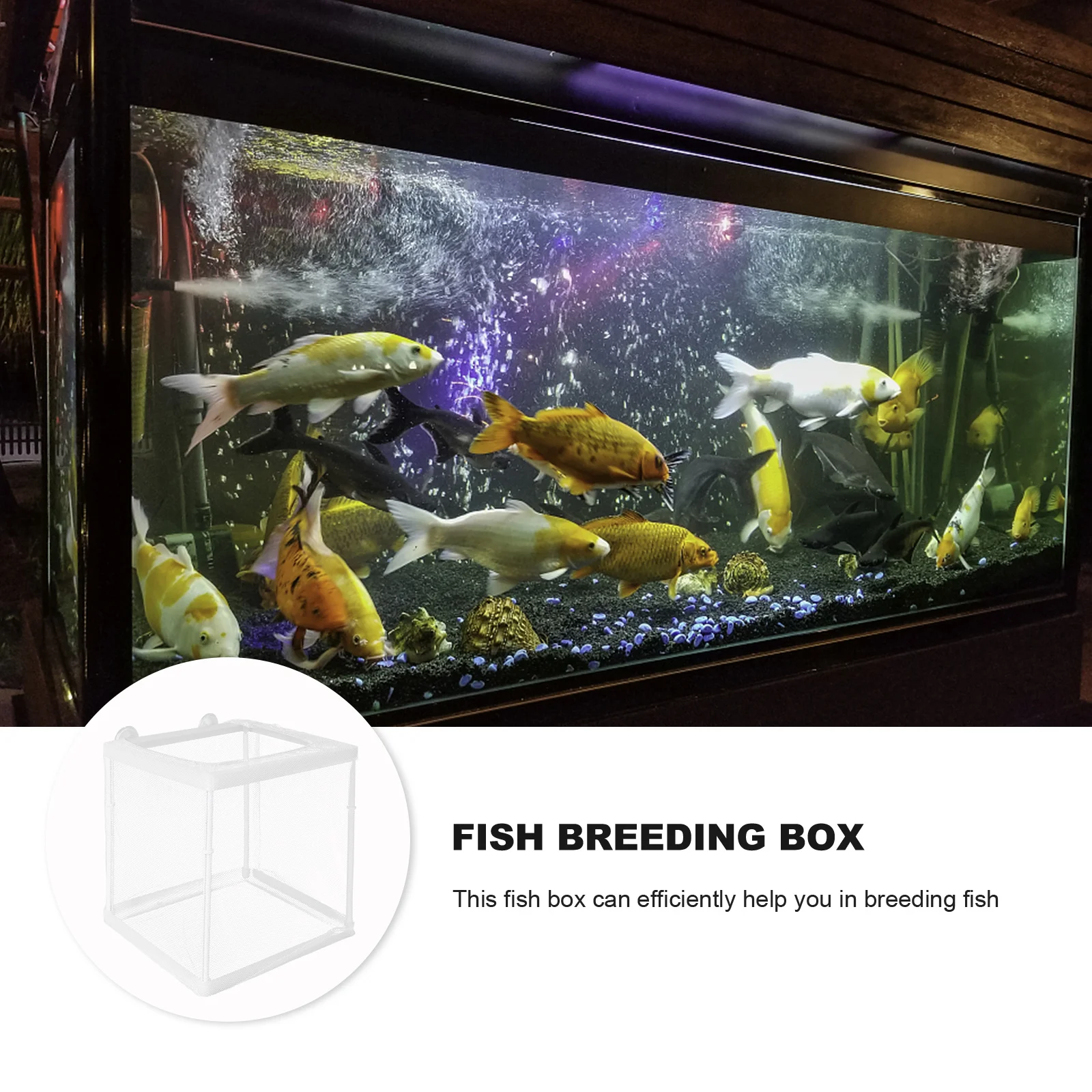 

1pc Mesh Breathable Fish Breeding Box Durable White Hatching Container For Small Pregnant Newborn Fish Protection Aquarium