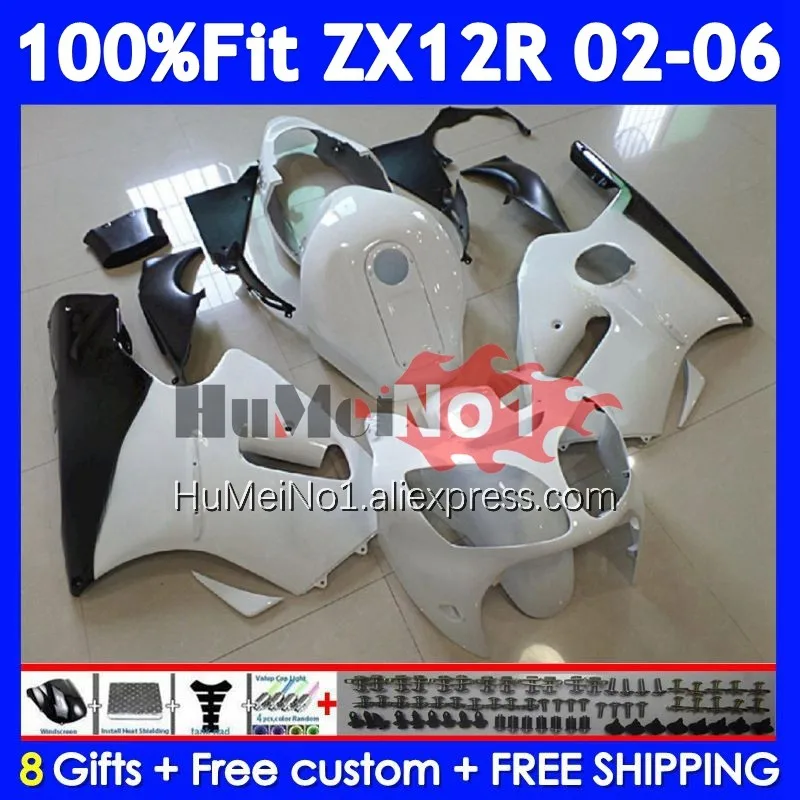 OEM Kit For KAWASAKI NINJA ZX-12R White black ZX 12R 1200 226No.17 ZX12R 02 03 04 05 06 ZX1200 2002 2003 2004 2005 2006 Fairing