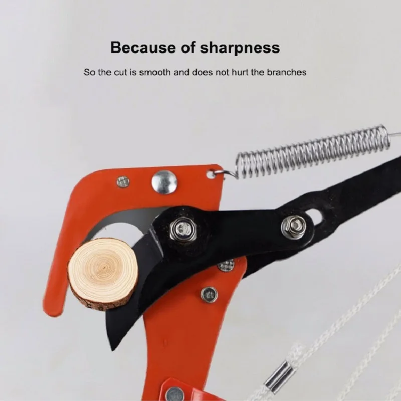 Pole Saw Reciprocating Saw Hand Tools Pruner Garden Woodworking Greenworks High Branch Shears Pruning Lengthening Fruit Tree
