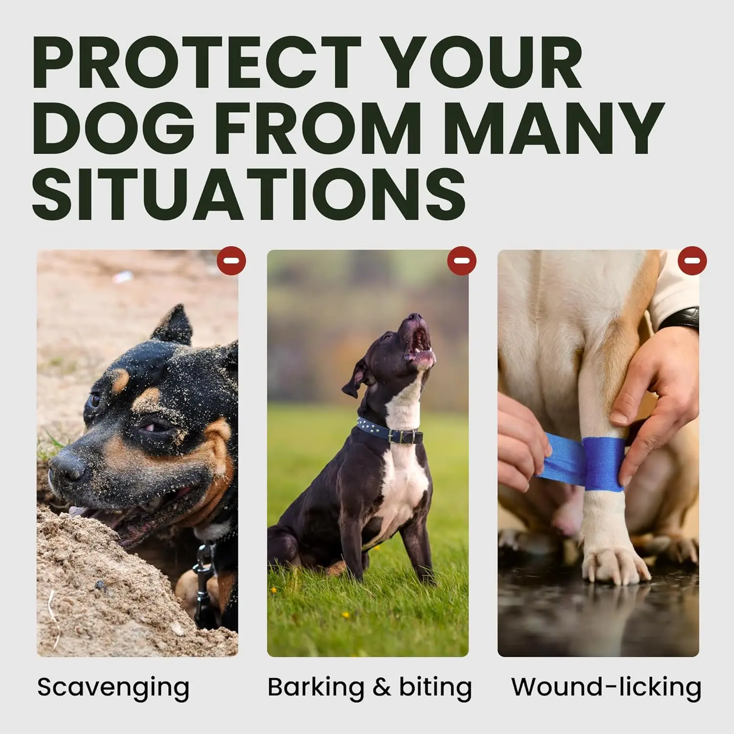 Thumbnail 4 - #14 Top Rated Dog Muzzles to Buy in 2026