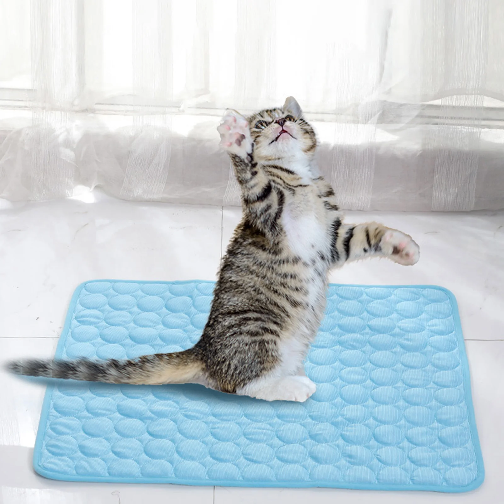 

Pet Ice Silk Sleeping Mat Comfortable Fabrics Portable Dog Cooling Pad Suitable for Family Friend Dog Keeper Gift