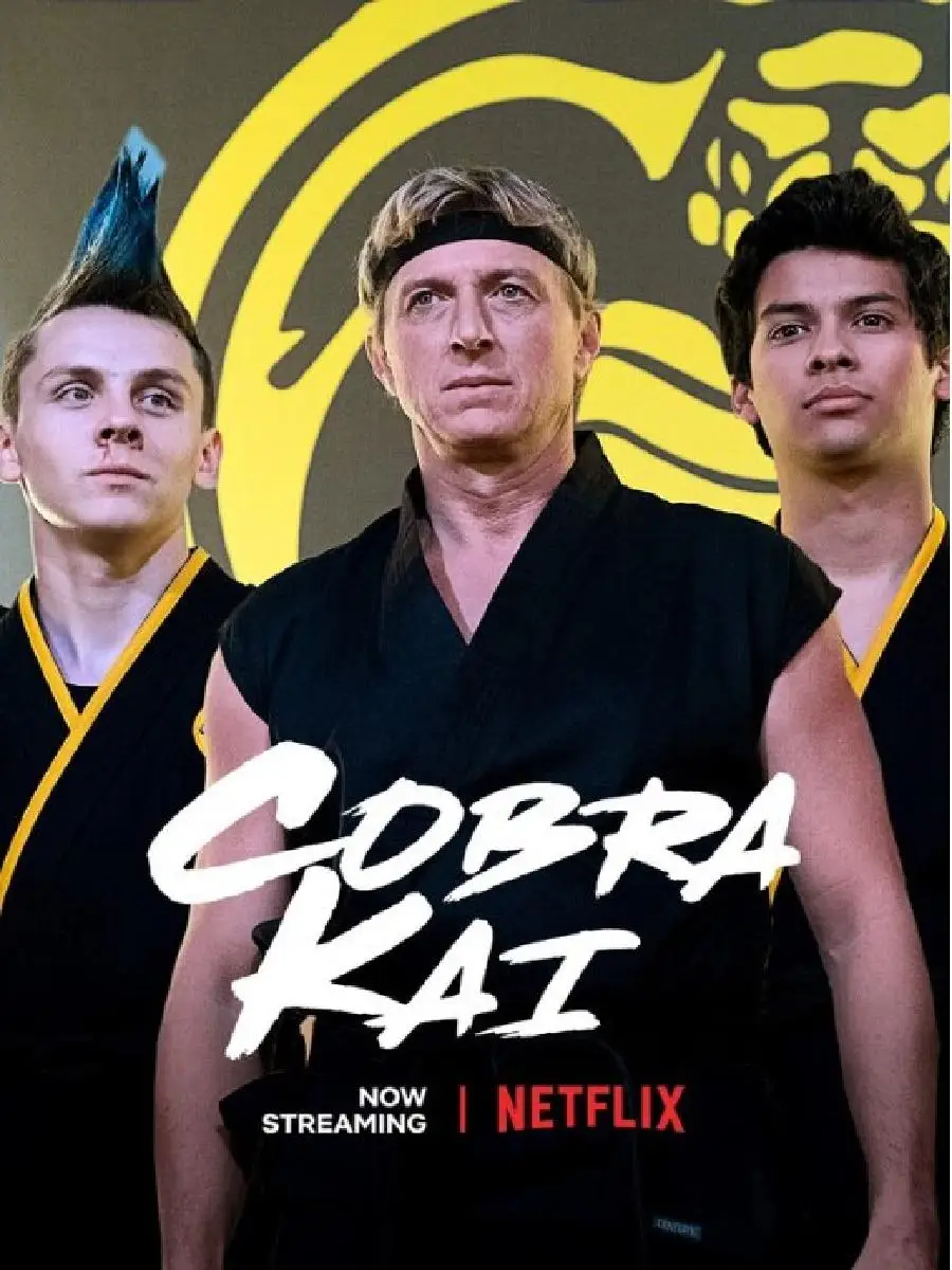 Cobra Kai Series Canvas Poster  Character Prints Wall Art for Living Room Home Decor