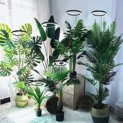 Full Spectrum Indoor Solar LED Growth Light, Fleshy Viridiplantae, Flower Floor Telescopic Fill Light