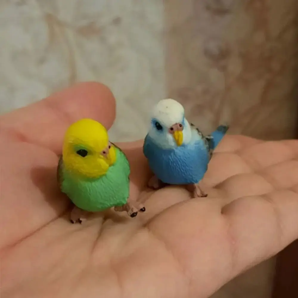 Animal Sculpture Miniatures Simulated Budgie Parrot Educational Cartoon Bird Figurines Plastic Parrot Ornament Office