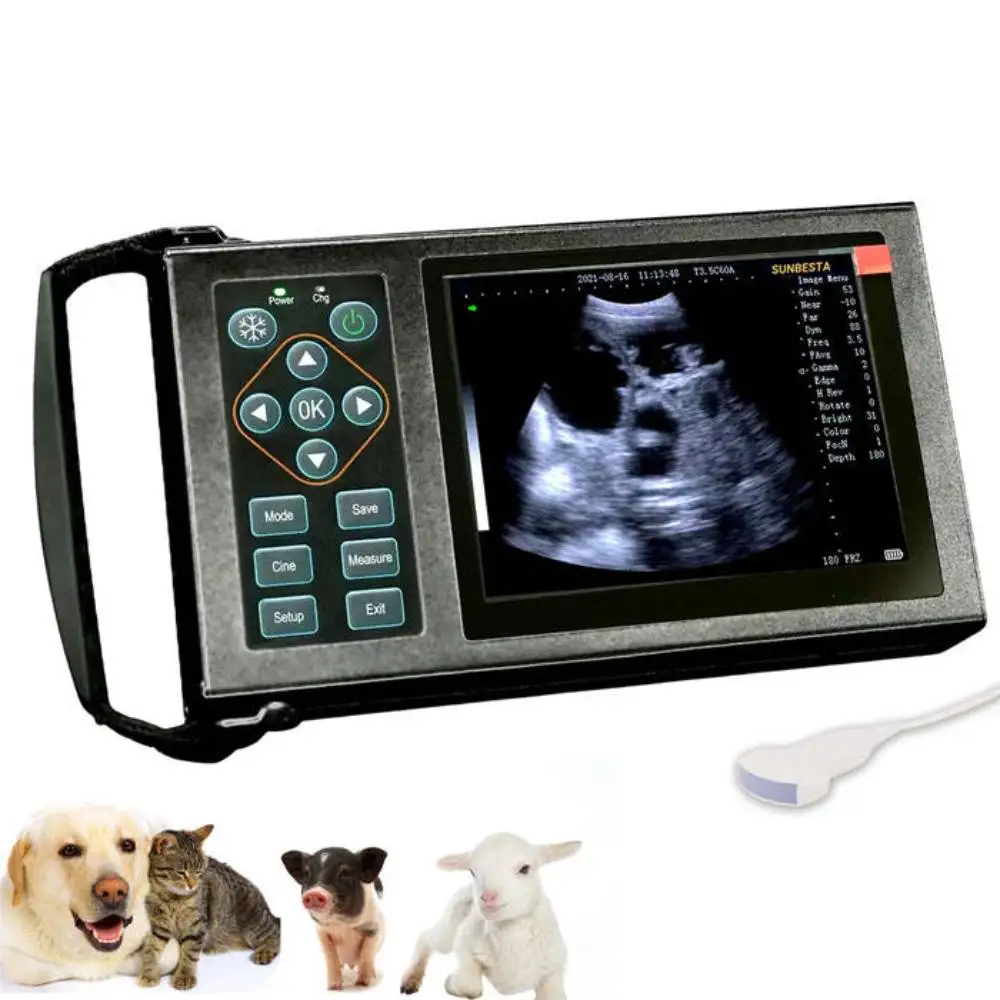 

Ручная ветеринарная ультразвуковая система с выпуклым зондом 3,5 МГц Ветеринарный ультразвуковой сканер для проверки беременности 5,7 дюйма