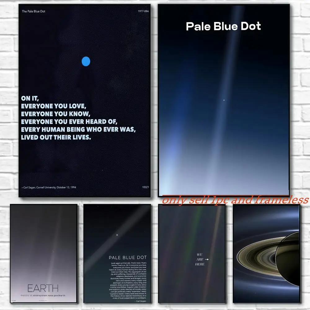 Carl Sagan Pale Blue Dot Book Poster Painting with prints Home bedroom living room decoration gift