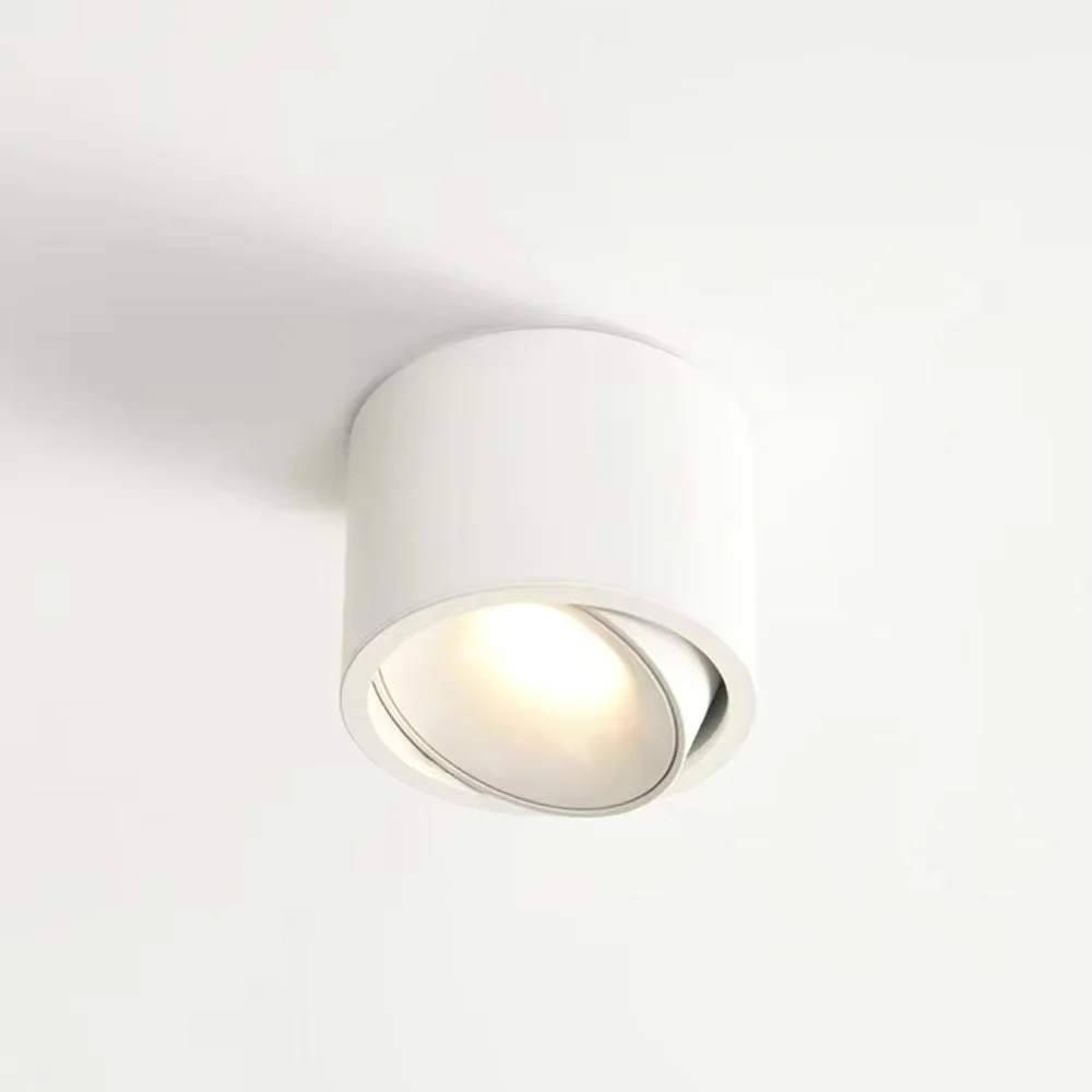 Ultradunne opbouw roterende anti-glare downlight COB-plafondlamp dimbare LED-spots AC220V woonkamer slaapkamer