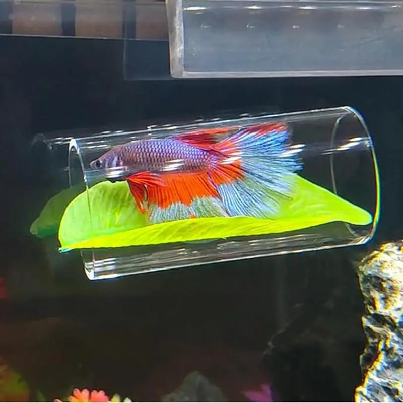 1pc Aquarium Betta Fish Acrylic Tube Small Tunnel/Hollow Design For Better Observation Of Betta Fish/Betta Fish Tank Decorations