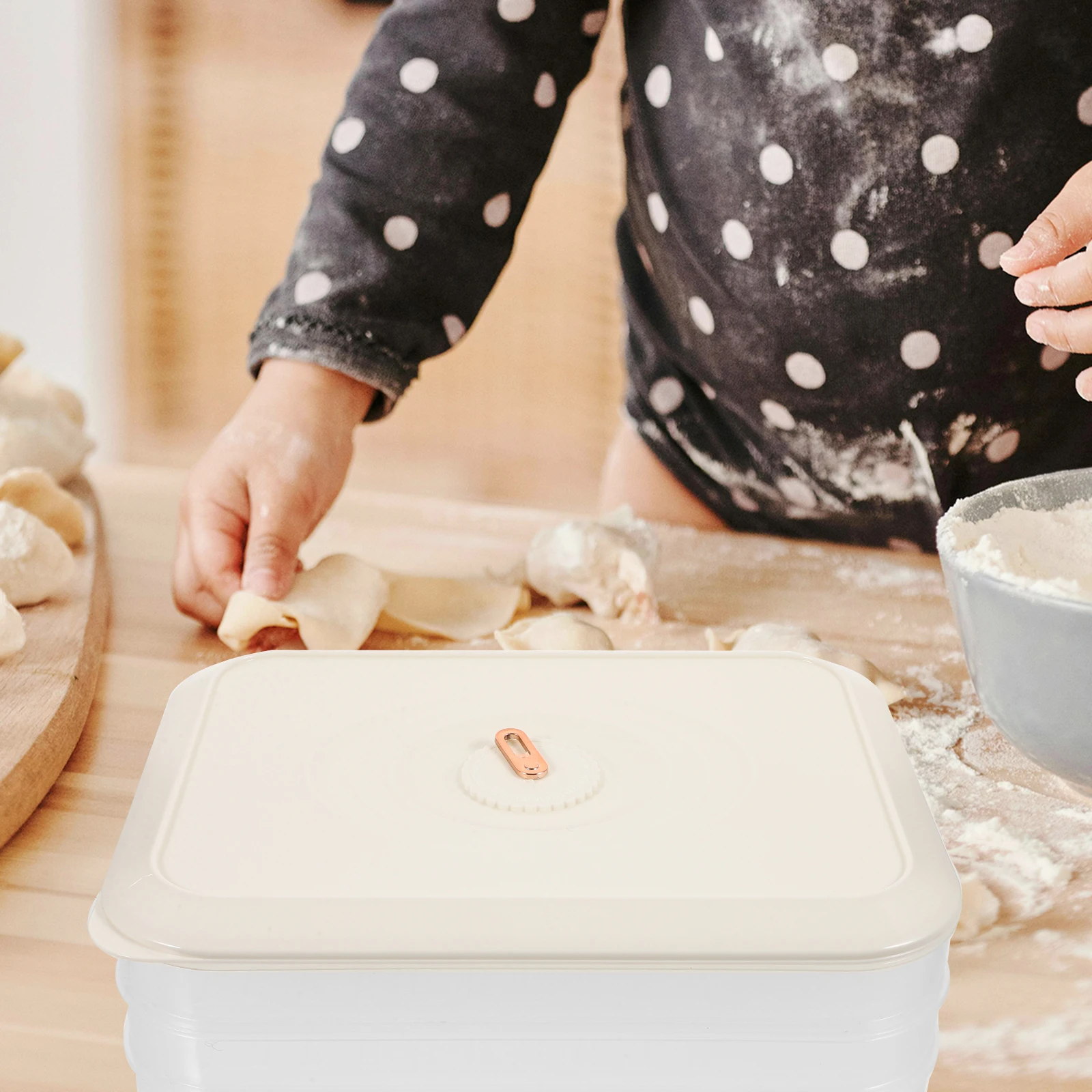 

Food Storage Box Airtight Microwave Safe Dumpling Container Freezer Refrigerator Organizer Bpa Keeping