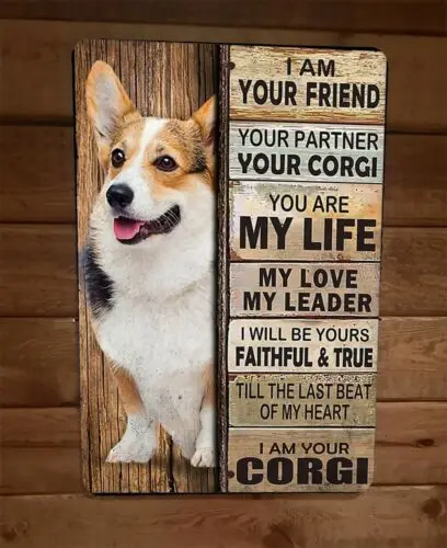I am Your Corgi Your Friend Your Partner 8x12 Metal Wall Sign