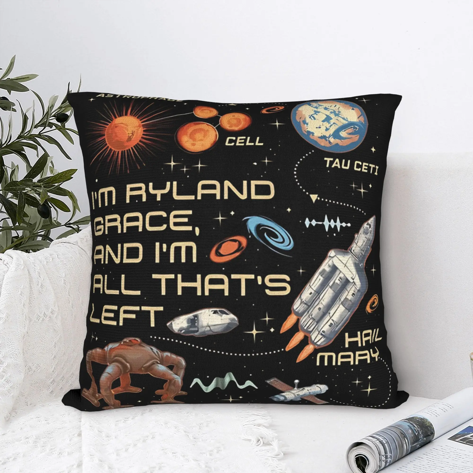 Project Hail Mary Pillow Case  Custom Pillow Cover For Couch Sofa Bedroom Fashion Pillowcases