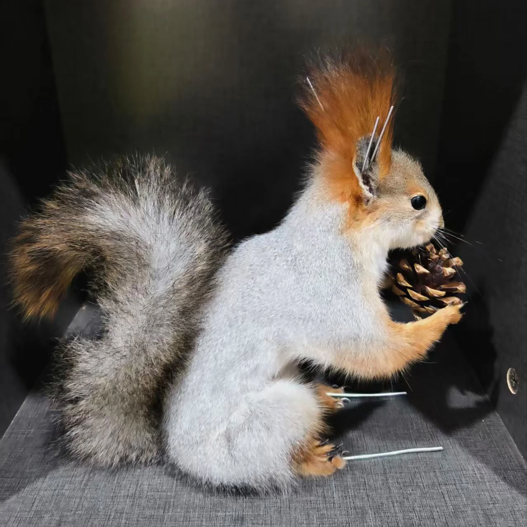 2076 Boutique Gothic Style Artificial Squirrel Statue on Faux Wood Stand Resin Craft Ornament Unique Handmade Decor Halloween
