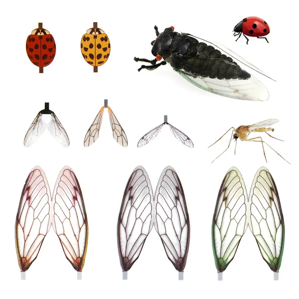 2 Packungen Vorgeschnittene Fliegenbinde-Insektenflügel Realistische Fliegenflügel Fliegenbindematerial für Steinfliege Maifliege Marienkäfer Wespe Zikade Flaschenfliege