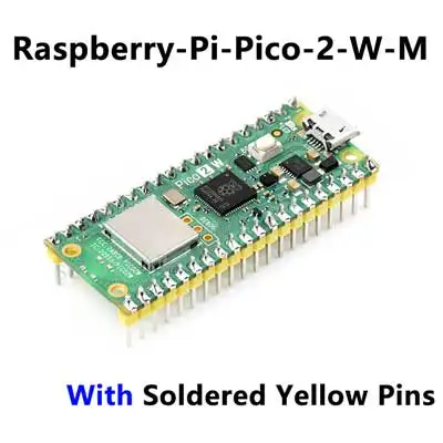 Variant: Pico-2-W-Yellow-Pin