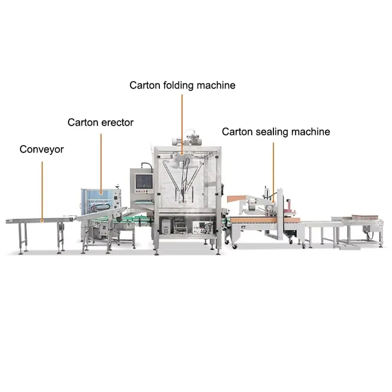 Commercial Auto Erector Carton Box Erector Machine Robot Carton Packaging Seal Line for Food and Beverage Industry