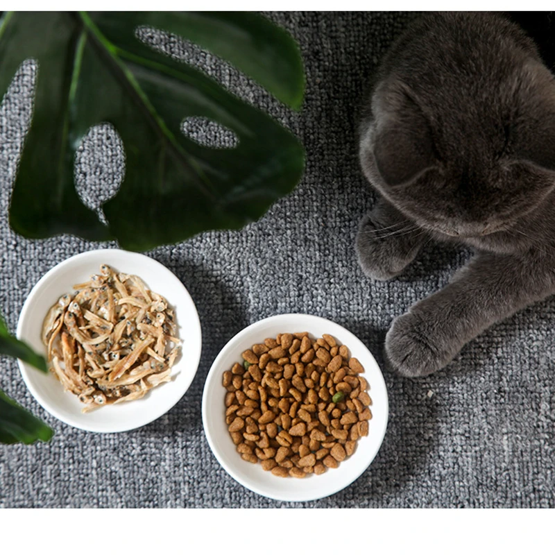 New Creative Cute Cat Small Saucer Shape Mini Plate Ceramics Cartoon Dish Creative Snack Plate Chinchilla Squirrel Hedgehog Bowl