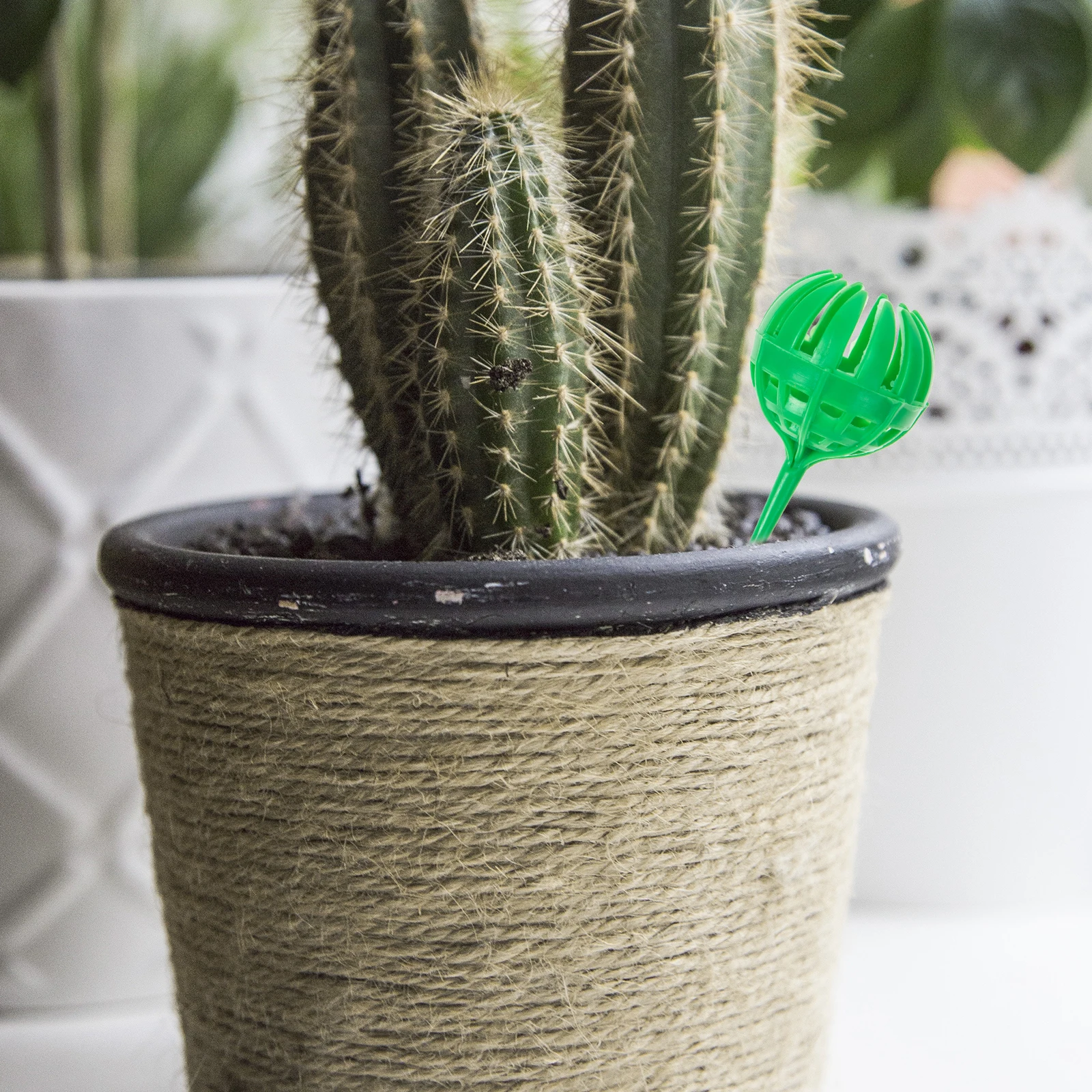 

30pcs Fertilizer Plastic Bonsai Flower Orchid Holder Reusable Garden Fertilizer Holder Container Gardening Supplies Tool