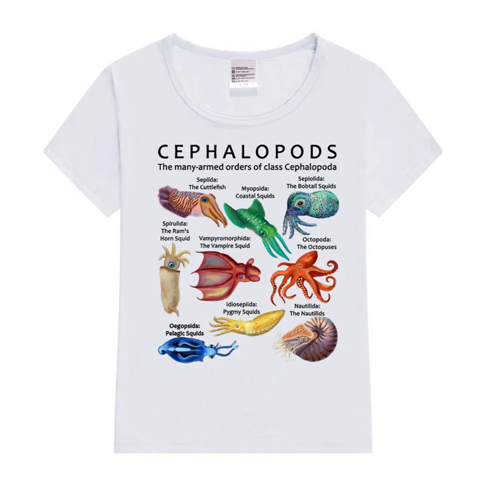 The Cephalopod Octopus Squid Nautilus and Cuttlefish  T-Shirt  Kawaii T Shirt Anime Cartoons Casual  Y2K Top