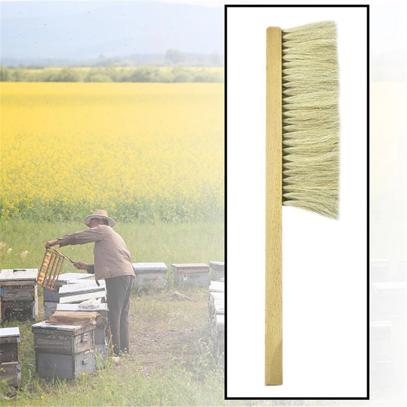 Beekeeping Bee Brush Wooden Handle Bee Sweep Brush Practical Beekeeping Accessory For Beginners And Professional Beekeepers